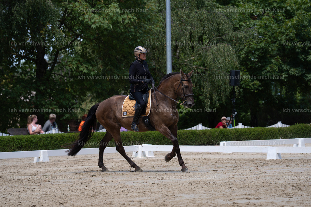 WS_DR_60_sinafilmart_IN02671 | working equitationturnier fotograf videograf stoibphotography marixx film working equitation deutschland reitsport turnierfotografie eventfotografie equestrian events