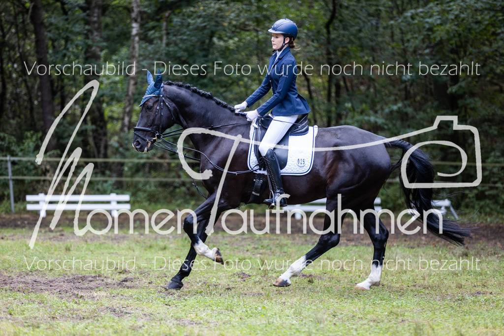 HB-Dressur-WB-093 | MomenTaufnahmen Pferdesportfotos