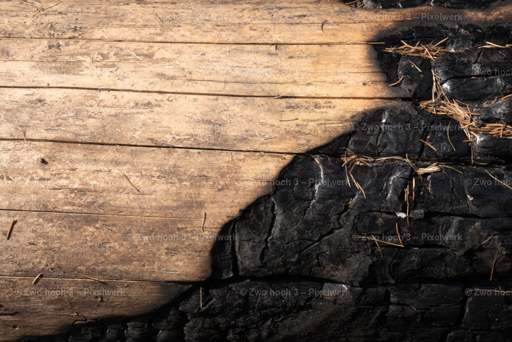 Fremdenweg_nahe_Katzenstein_Waldbrand_Baumstamm_Struktur | 2022-08-30_Waldbrandgebiete_1 - Realisiert mit Pictrs.com