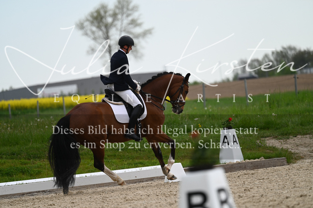 20230512_JK-Röhrsdorf-02-246 | Pferde- und Turnierfotografie in Westsachsen. Pferdeportraits, Auftragszeichnungen und intuitive Kunst.