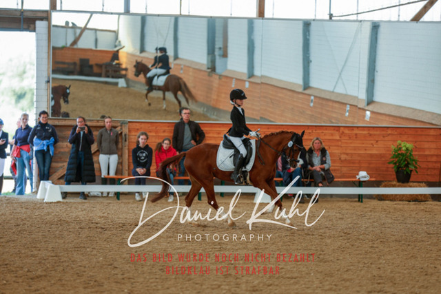 _62_7993 | Turniersportfotografie; Pferdefotografie; Dressurfotografie