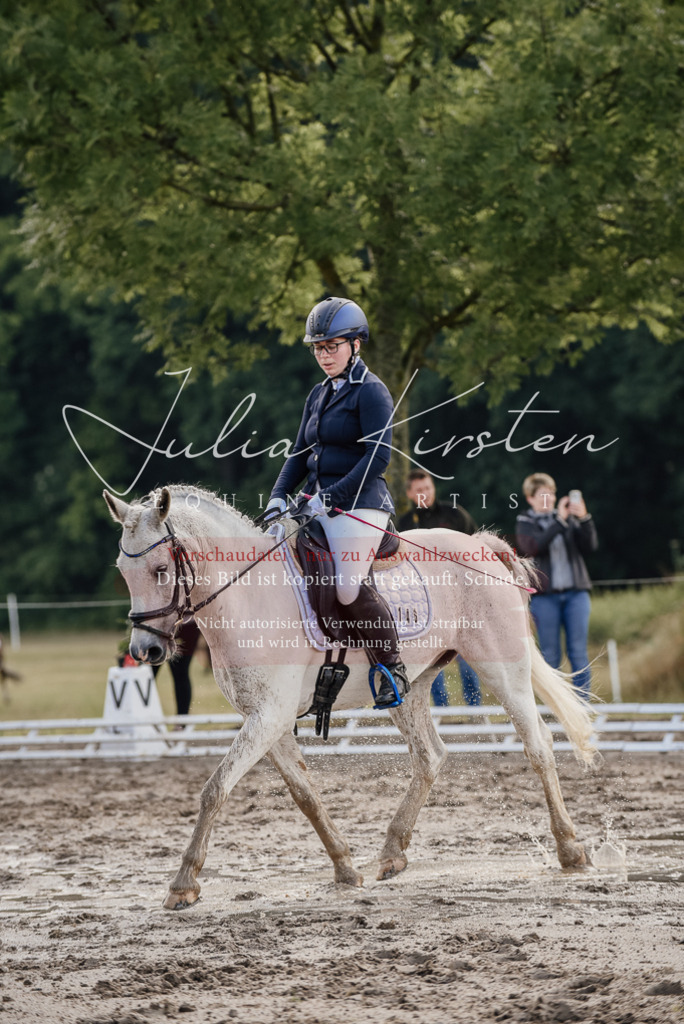DSC_7993 | Pferde- und Turnierfotografie in Westsachsen. Pferdeportraits, Auftragszeichnungen und intuitive Kunst.