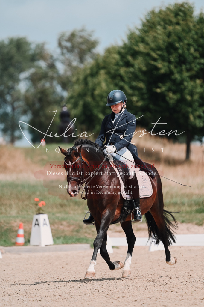 DSC_3936 | Pferde- und Turnierfotografie in Westsachsen. Pferdeportraits, Auftragszeichnungen und intuitive Kunst.
