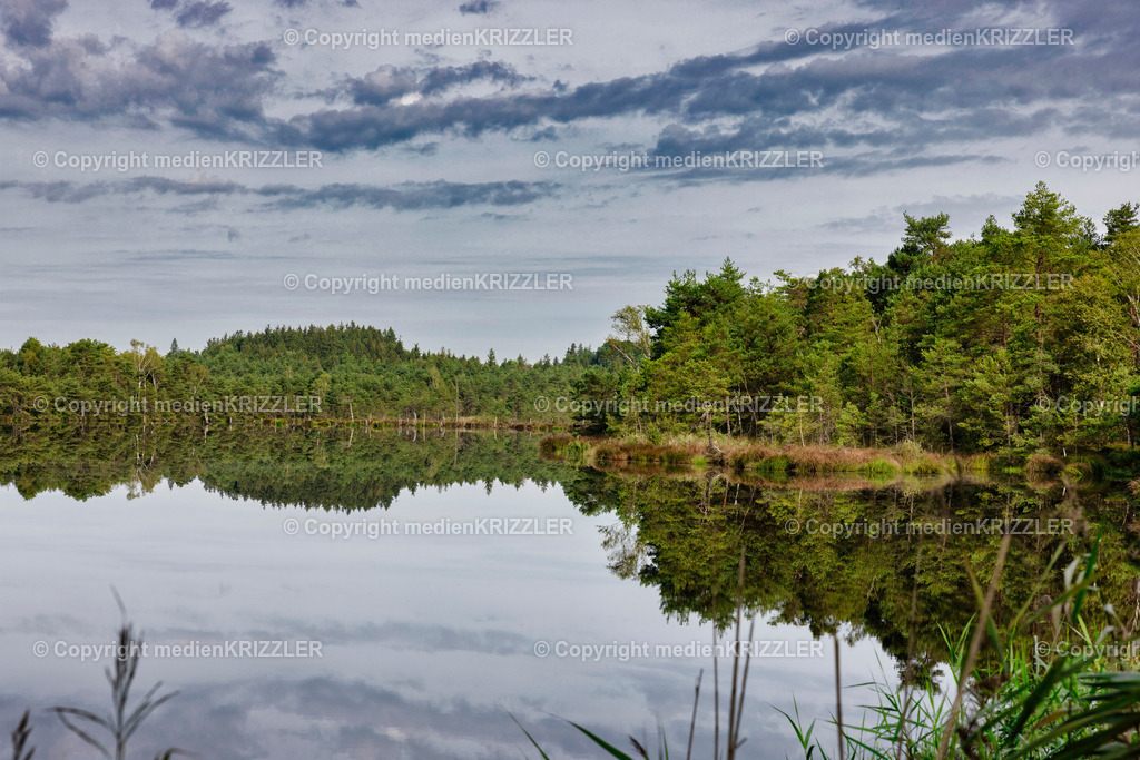 _J3A2262 | medienkrizzler - Realisiert mit Pictrs.com