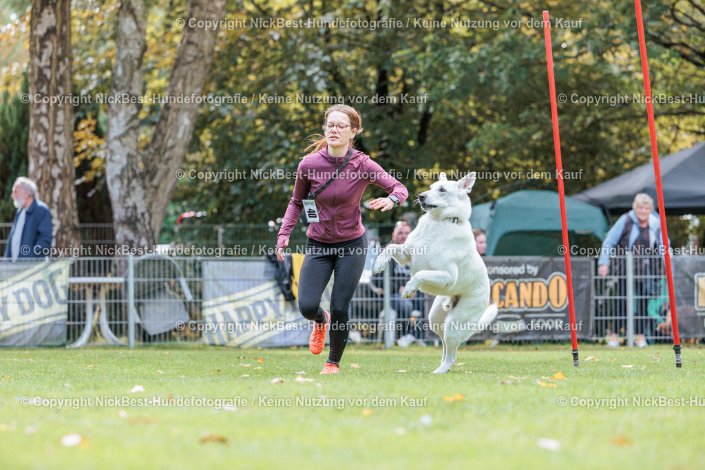 THS-HSV-Blumenthal-2026-Nickbest-Hundefotografie-2162 | Dein Hund! Dein Moment! Deine Erinnerungen! Hundefotografie in Bremen Blumenthal. Ich fange die besonderen Momente deines Vierbeiners ein – ob Indoor mit Blitzanlage oder in der freien Natur. Sicher dir dein Moment und dein Termin für eure Erinnerungen.