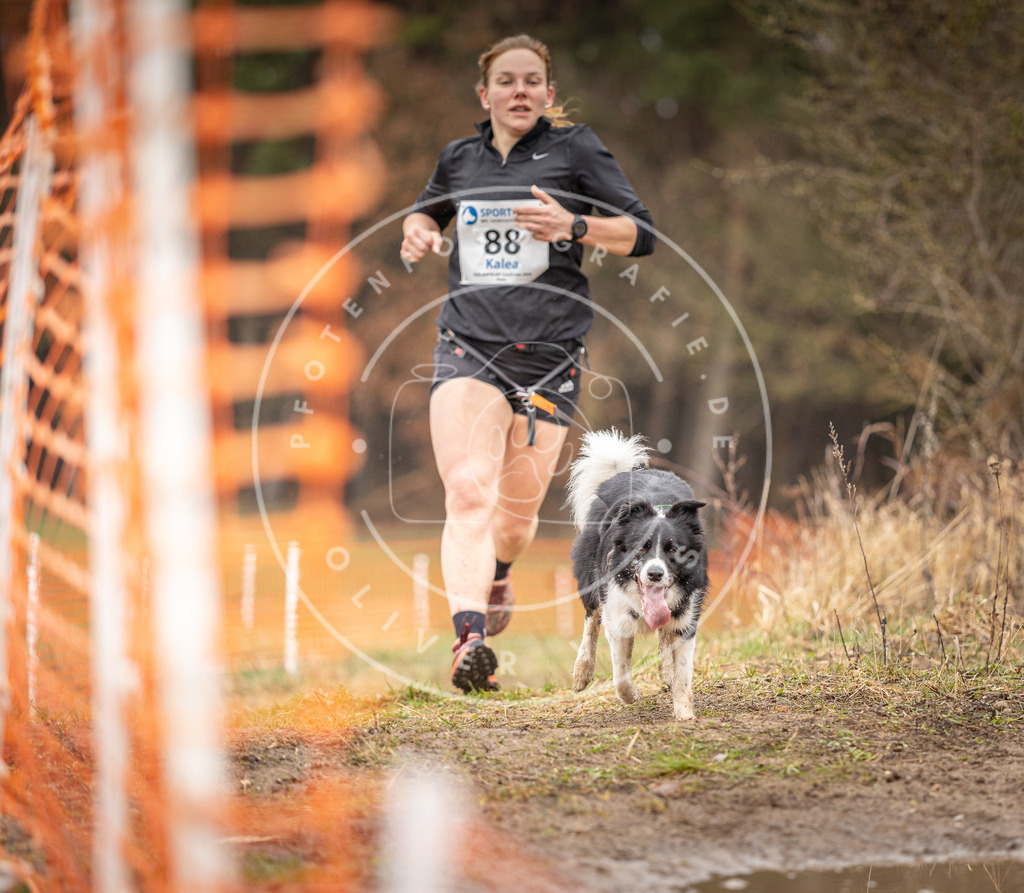 DV3A0387 | Hundefotografie, Tierfotograf, Pfotenfotografie, Fotoshooting Hund, Hunde Portrait, Hundesport, Hundeportraits, Heideshooting, Hunde, Sportfotograf, Hundefotograf, Turnierhundsport, THS,  - Realisiert mit Pictrs.com