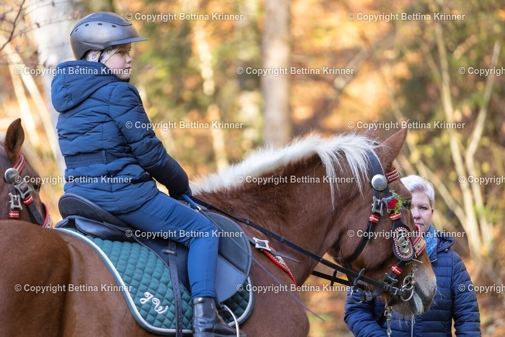 LL24-256 | foto-bettina-krinner - Realisiert mit Pictrs.com