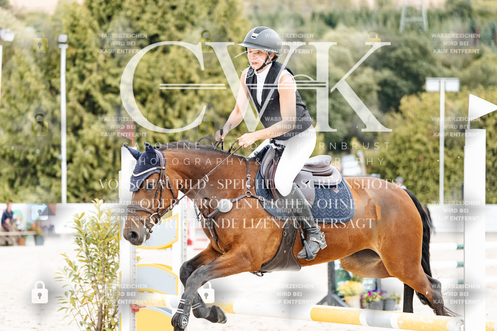CK908752 | Turnierfotografie Pferdefotografie Trier Rheinland-Pfalz Pferdesport Reitsport Tierfotografie Sportfotografie Pferdevideo Pferdevideografie Equestrianvideography equestrianphotography  - Realisiert mit Pictrs.com