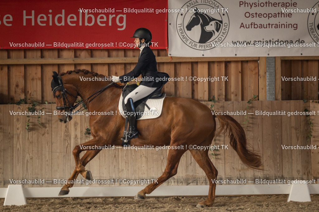 _D5A3208 | Emotionale Pferde- & People-Fotografie rund um Heidelberg, Leimen & Umgebung. Natürliche Fotos von Pferd, Mensch & Familie. Jetzt Termin sichern!