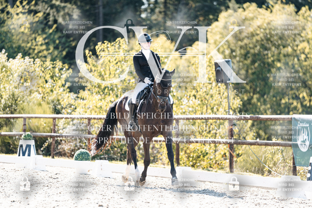 CK905774 | Turnierfotografie Pferdefotografie Trier Rheinland-Pfalz Pferdesport Reitsport Tierfotografie Sportfotografie Pferdevideo Pferdevideografie Equestrianvideography equestrianphotography  - Realisiert mit Pictrs.com