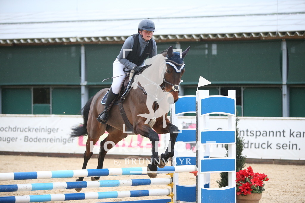 AS8V0790 | Willkommen bei Brunnmayr - Design & Fotografie – Ihrem Spezialisten für Reitturniere und Pferdeveranstaltungen in Oberösterreich, Salzburg und Bayern! Seit über 17 Jahren sind wir leidenschaftlich dabei.