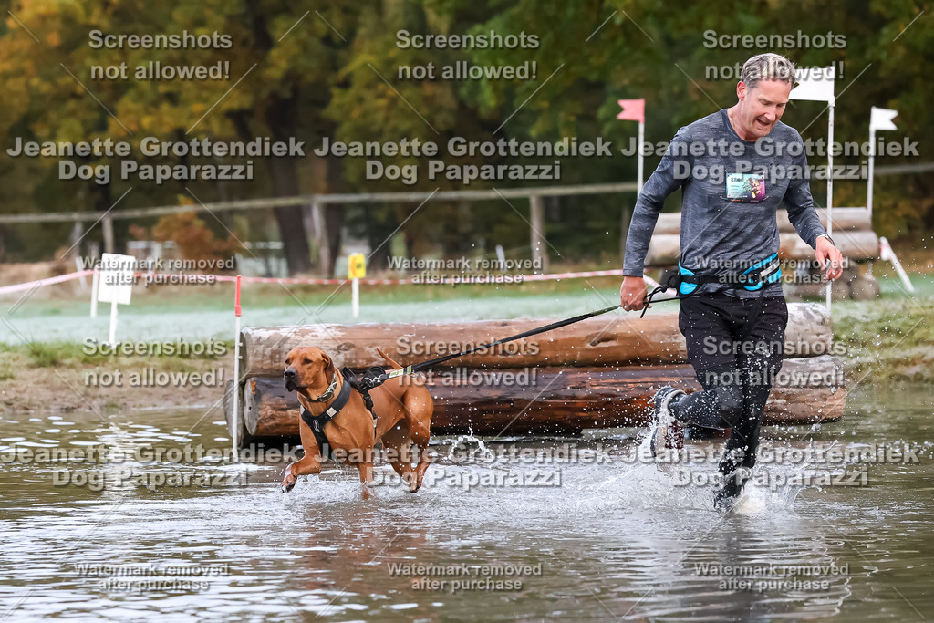 Dog Paparazzi - Strongdog 10-25-6172 | Dog Paparazzi Jeanette Grottendiek Fotografie & Videografie - Realisiert mit Pictrs.com