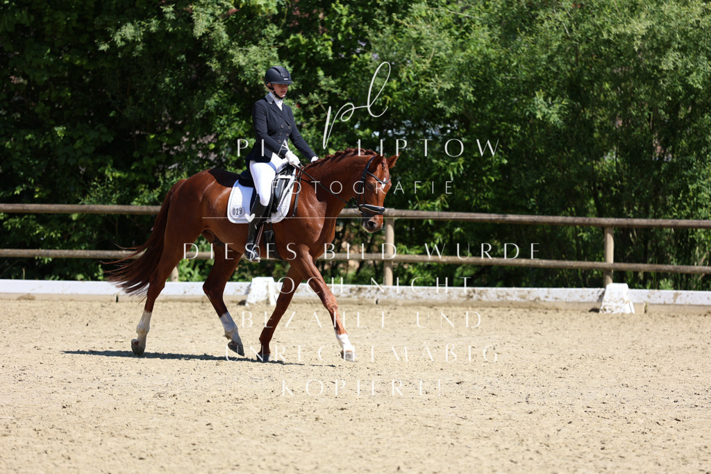 IMGS0731 | pl-fotografie