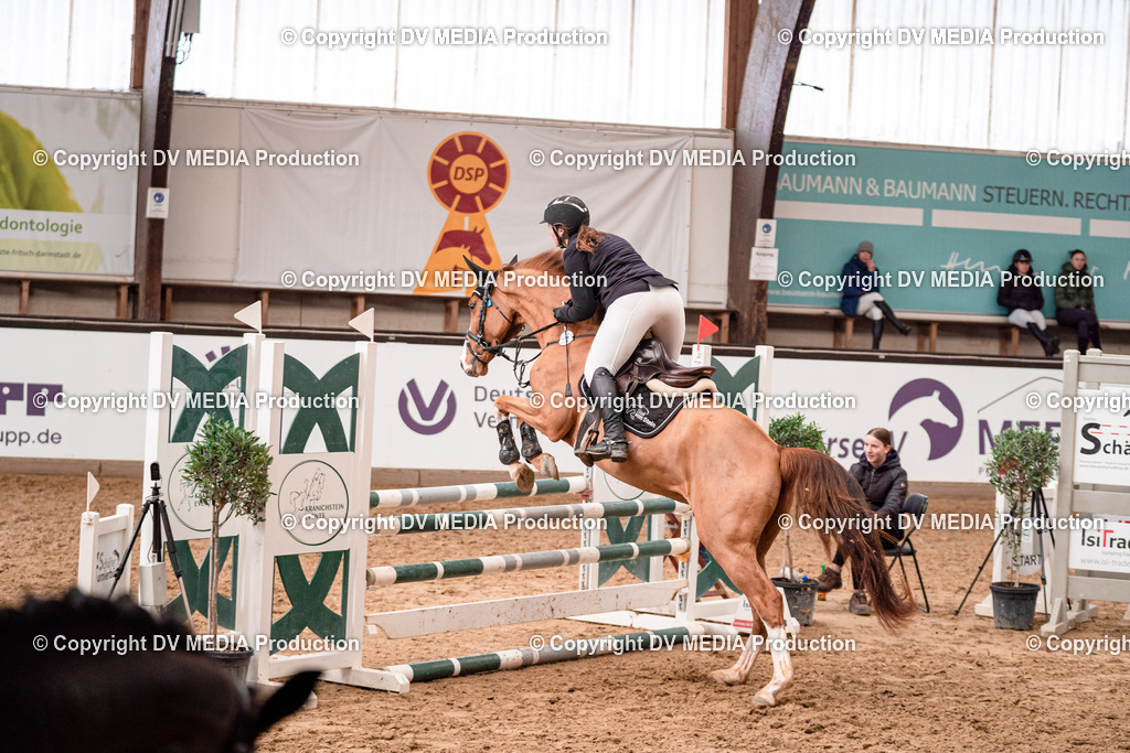 Kranichstein Tag 2-347 | dv-media-shop - Realisiert mit Pictrs.com