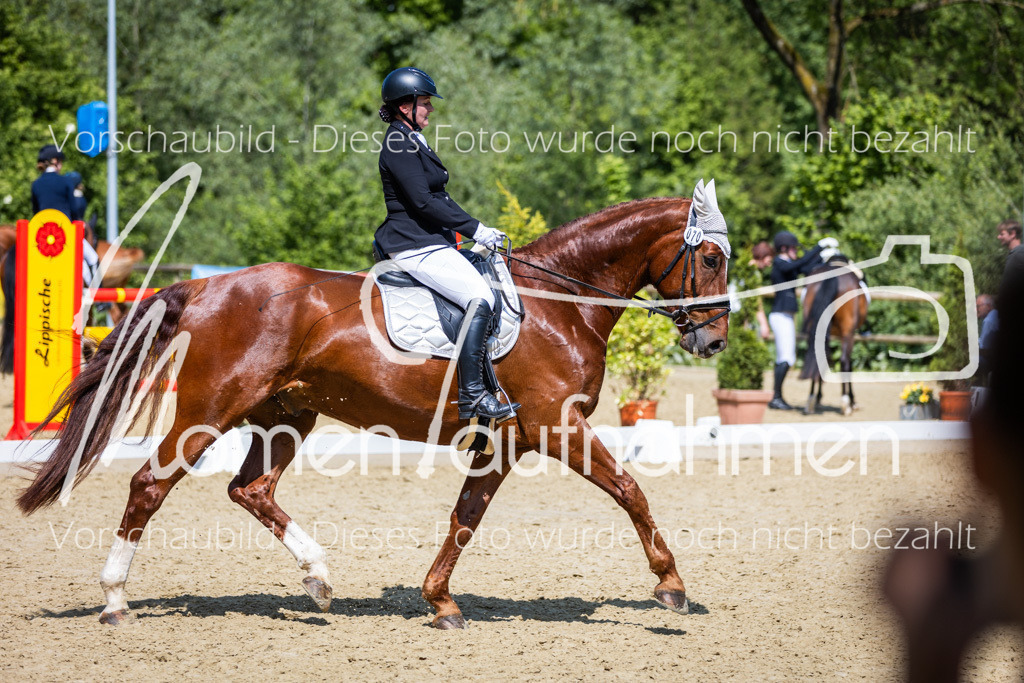 Donop24-L-Dre-077 | MomenTaufnahmen Pferdesportfotos