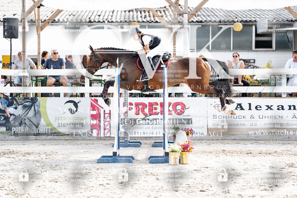 CK905829 | Turnierfotografie Pferdefotografie Trier Rheinland-Pfalz Pferdesport Reitsport Tierfotografie Sportfotografie Pferdevideo Pferdevideografie Equestrianvideography equestrianphotography  - Realisiert mit Pictrs.com