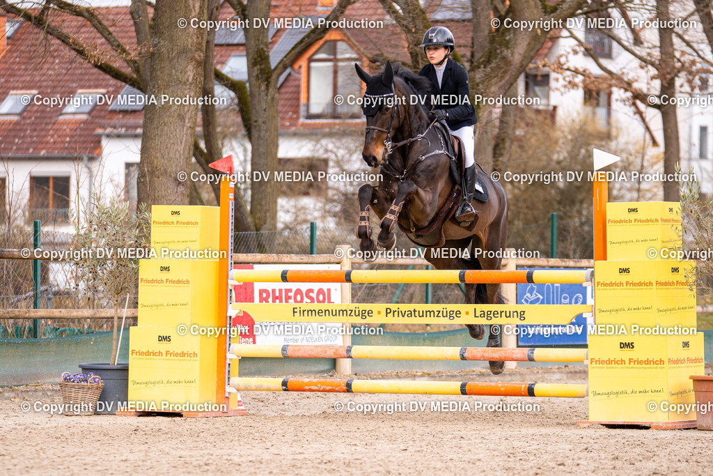 Kranichstein Tag 2-348 | dv-media-shop - Realisiert mit Pictrs.com