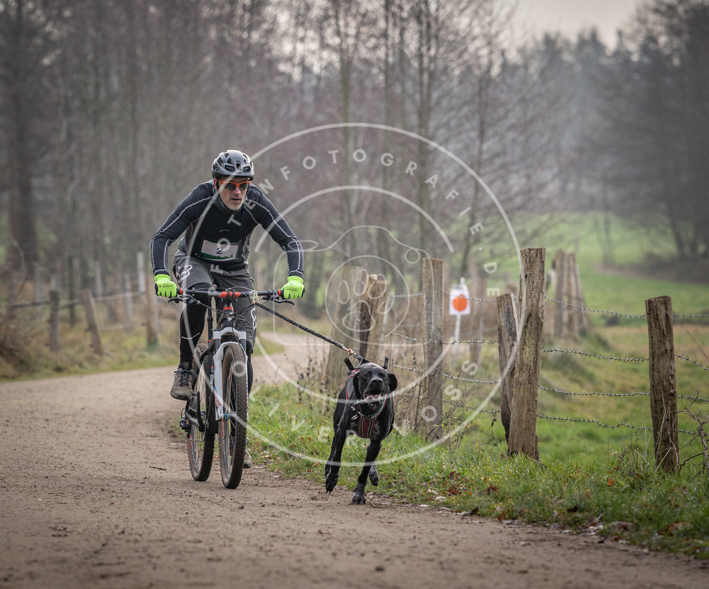 Pfotenfotografie_DV3A1503 | Hundefotografie, Tierfotograf, Pfotenfotografie, Fotoshooting Hund, Hunde Portrait, Hundesport, Hundeportraits, Heideshooting, Hunde, Sportfotograf, Hundefotograf, Turnierhundsport, THS,  - Realisiert mit Pictrs.com