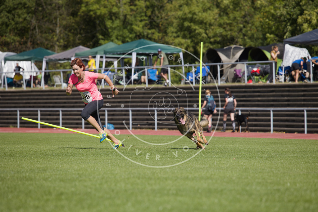 0L8A7182 | Hundefotografie, Tierfotograf, Pfotenfotografie, Fotoshooting Hund, Hunde Portrait, Hundesport, Hundeportraits, Heideshooting, Hunde, Sportfotograf, Hundefotograf, Turnierhundsport, THS,  - Realisiert mit Pictrs.com