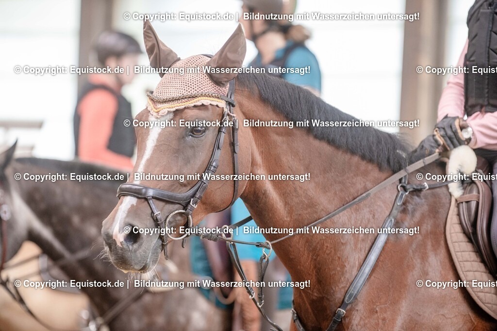 20250725_Vielseitigkeitslehrgang-Marbach_0257 | Foto: Thomas Hartig