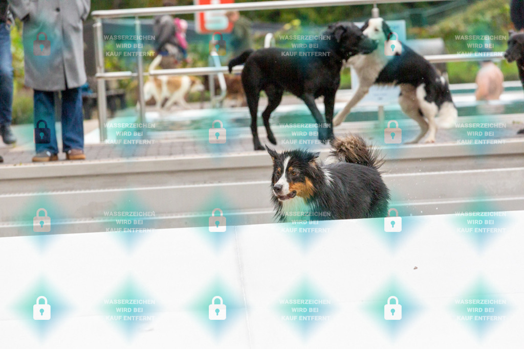 _HP_7424_1000o | HetPix, HetPix Fotodesign, Fotografie, Fotodesign, Webshop, Sportfotografie, Portraitfotografie, Onlineshop, Sportfotografie, Polch, Motorsportfotografie, Eventfotografie