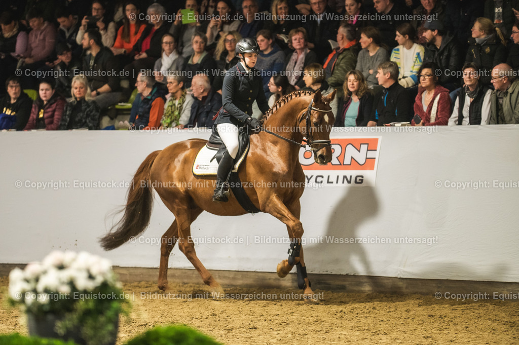 20240302_Hengstvorstellung_Marbach_TOMsPiC_1352 | equistock
