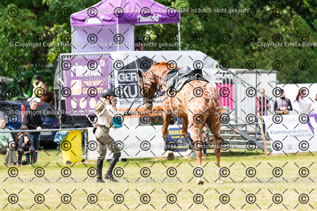 CL5A7905 | Emilia Reinking Fotografie - Realisiert mit Pictrs.com