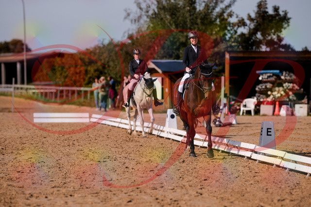 2026_10_03_Siefer-Hof_122834_Z81_27264867 | Professionelle Reitsport-, Turnier- und Eventfotografie von Robert Broda. Galerien mit ausgewählten und bearbeiteten Bildern direkt online ansehen und bestellen.