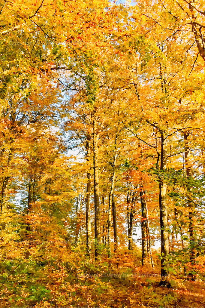 PDM2_4239_Herbstwald_120x180 | DIGITALKUNST. Herbstwald. __ Die Farben der Natur im Herbst. Laubbäume im Wald. __ Seitenverhältnis = 2 zu 3 - Realisiert mit Pictrs.com