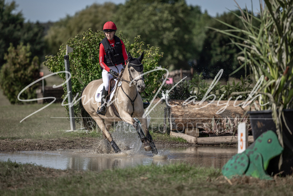 20250907-_3LI9715 | Tierfotografie Pferde, Hunde, Katzen, Haustiere.
Turnierfotografie Reitturniere, Reiten, Springreiten, Dressur in Hanau, dem Main-Kinzig-Kreis und dem Rhein-Main- Gebiet um Frankfurt