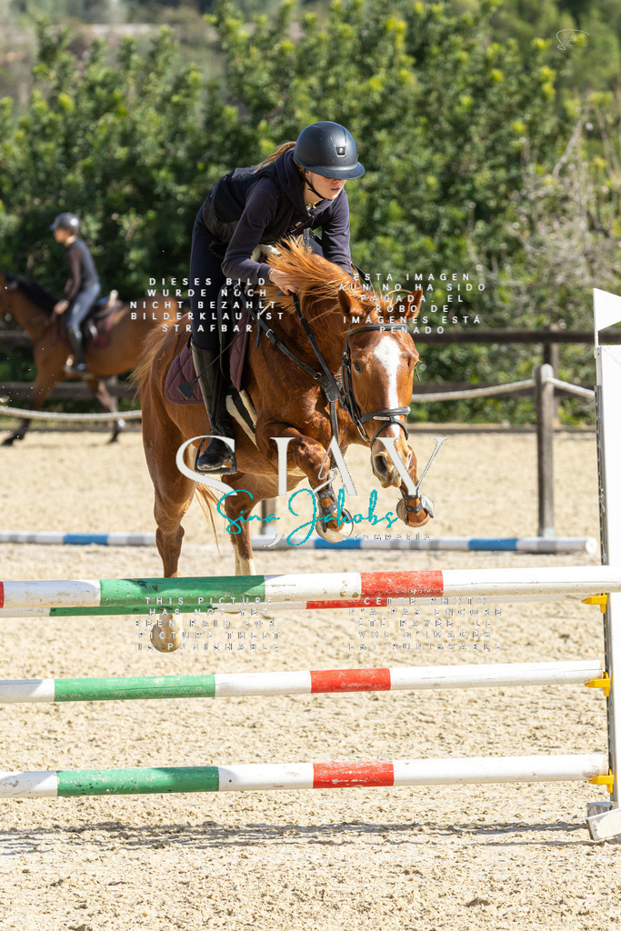 IMG_4046 | s-jay-photography - Realisiert mit Pictrs.com