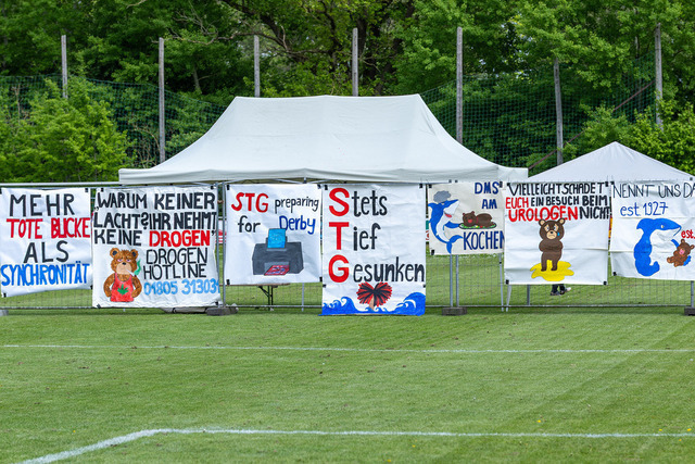 Derby DMS-STG  023 | Herzlich willkommen in meiner Fotogalerie für Sportmannschaften. Schau gerne mal rein, vielleicht ist Dein Team ja auch dabei! Falls nicht, schreib mir und wir ändern das! :)  - Realisiert mit Pictrs.com