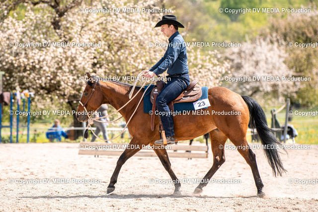 Balingen Tag 3-529 | dv-media-shop - Realized with Pictrs.com