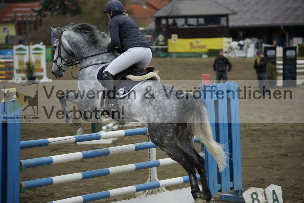 _DSC7233 | equestrian-live-com