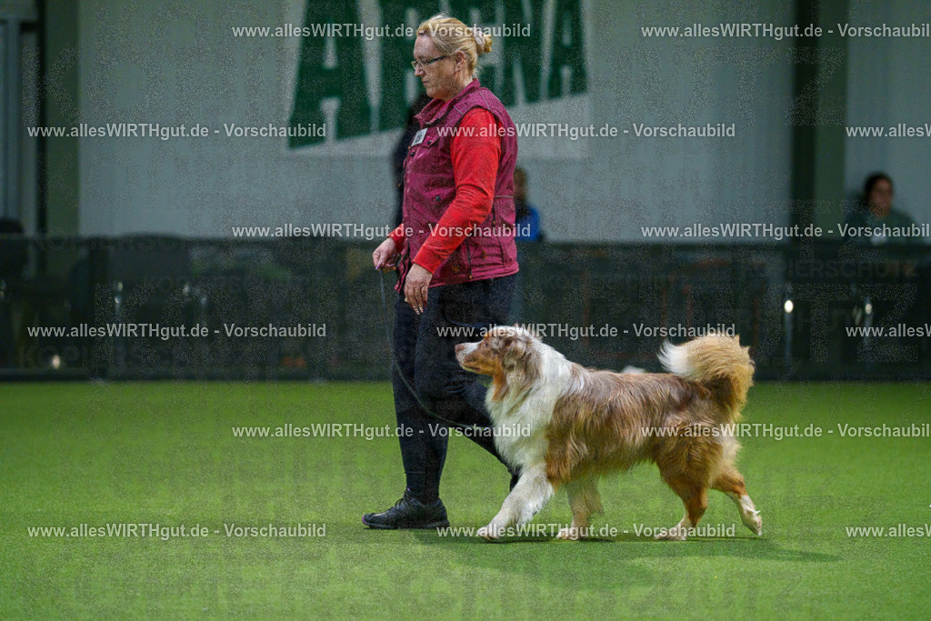 7R505281 | Professionelle Tierfotografie in Mönchengladbach von Daniel Wirth (allesWIRTHgut). Liebevolle & natürliche Bilder von Hunden & Katzen für unvergessliche Erinnerungen.