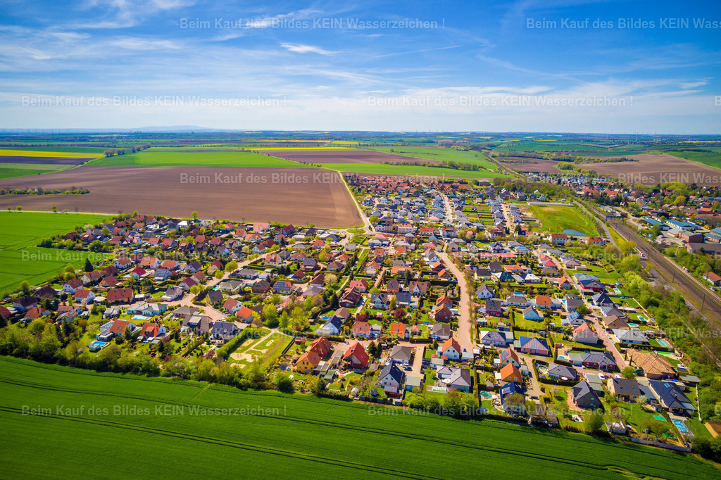 Niederndodeleben Cönterstieg-0017 | Niederndodeleben - Realisiert mit Pictrs.com
