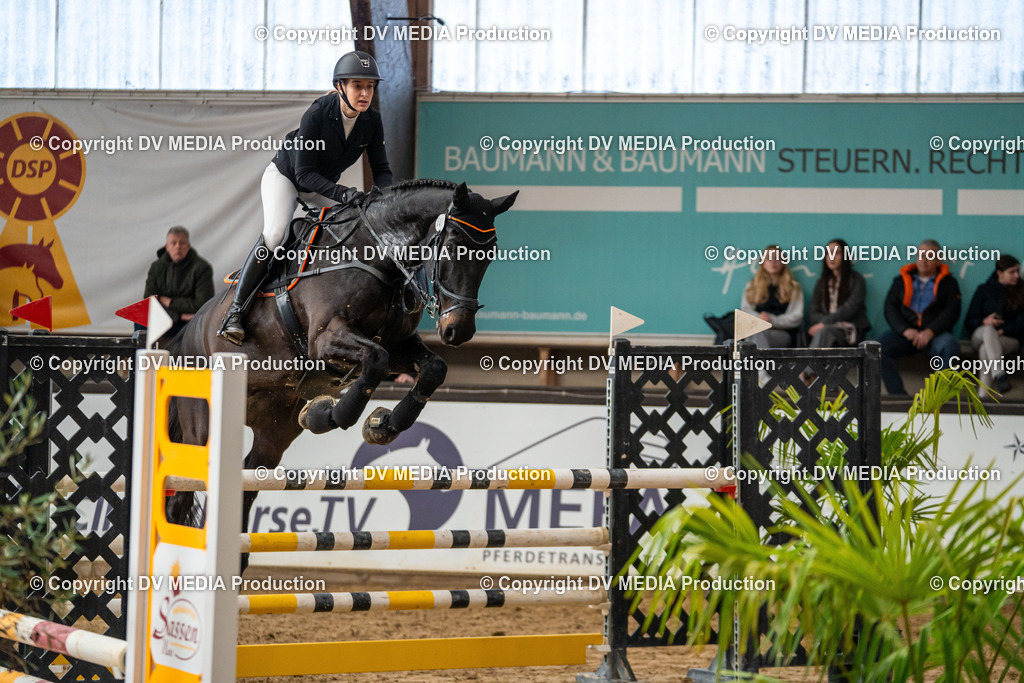 Kranichstein Tag 2-360 | dv-media-shop - Realisiert mit Pictrs.com