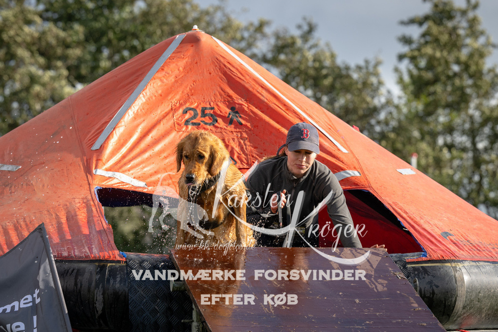 1426-94187 | kk-dogfotos