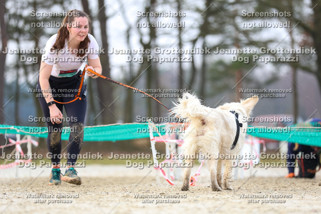 Dog Paparazzi - Strongdog North Mrz26-4013 | Dog Paparazzi Jeanette Grottendiek Fotografie & Videografie - Realisiert mit Pictrs.com