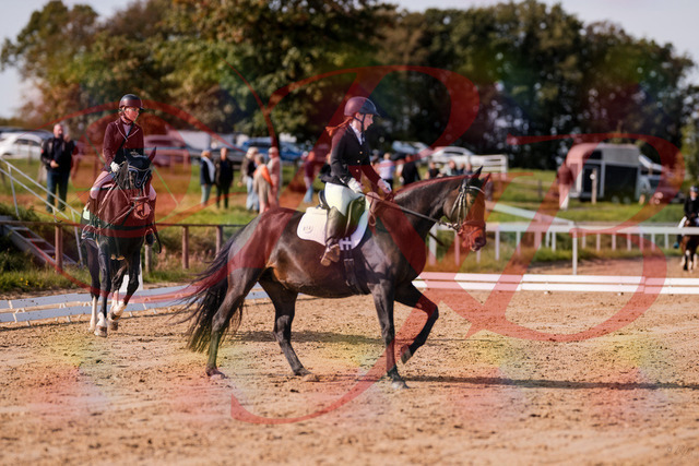 2026_10_03_Siefer-Hof_121610_Z81_18814022 | Professionelle Reitsport-, Turnier- und Eventfotografie von Robert Broda. Galerien mit ausgewählten und bearbeiteten Bildern direkt online ansehen und bestellen.