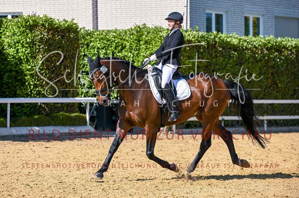 Schugtsche-Aluta25-50.Dressurpferdeprf.L-167 | Schugtsche Fotografie - Realisiert mit Pictrs.com