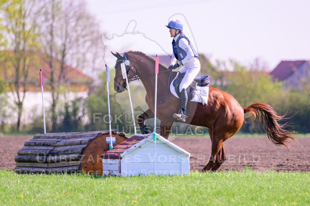 18042026-Gernlinden-03-0234 | Fokus Hufschlag Fotografie - Realisiert mit Pictrs.com