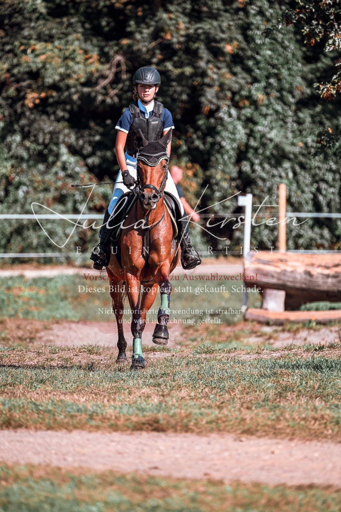 DSC_0976 | Pferde- und Turnierfotografie in Westsachsen. Pferdeportraits, Auftragszeichnungen und intuitive Kunst.