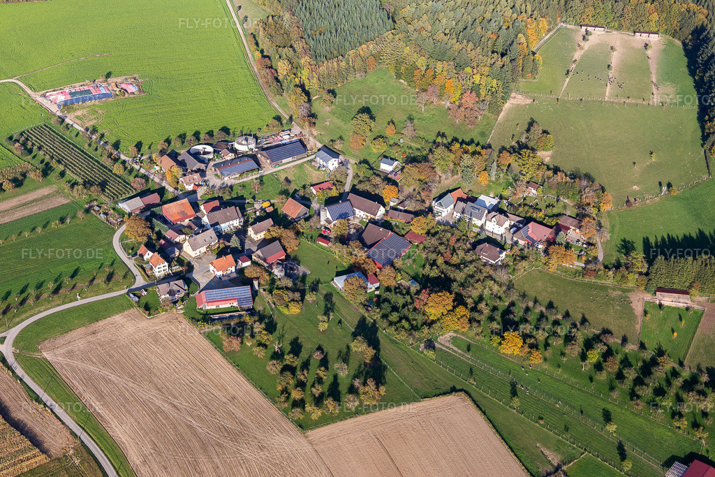 Luftbild: Straussenfarm Hegau-Bodensee in Stockach im Bundesland Baden-Württemberg in Deutschland. Foto: IMG_119420.jpg vom 14.10.2019 durch Werner Riehm/FLY-FOTO.de