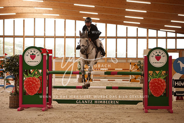 1J2A5647Jan Zdeb_ Masterclass_ Kn372_ Glantz_ Hohen Wieschendorf | Foto- und Videografie für alles rund ums Pferd. Hochwertige Bilder und Videos vom Spring- und Dressurreiten, Voltigieren & mehr. Jetzt aktuelle Veranstaltungen und Preise im Shop ansehen. - Realisiert mit Pictrs.com