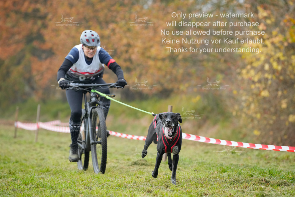 Visbeck_Sa_Bike-252 | stephaniefillaphotographie - Realisiert mit Pictrs.com