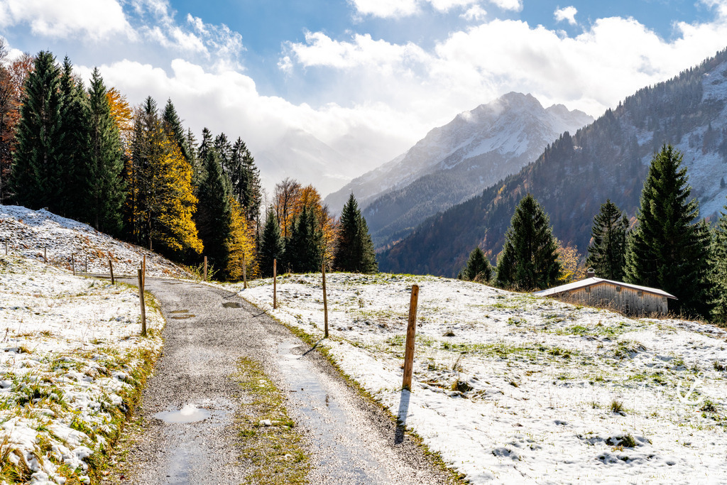 20251024-EAF_6453 | Eilun-Art-Fotografie Levke Martens, ihre Fotografin für Immobilien- und Landschaftsfotografie auf Föhr, Föhrer Motive als Poster, Leinwand, hinter Acrylglas oder stelle dir deinen eigenen Monatskalender zusammen, mit nur einem Klick