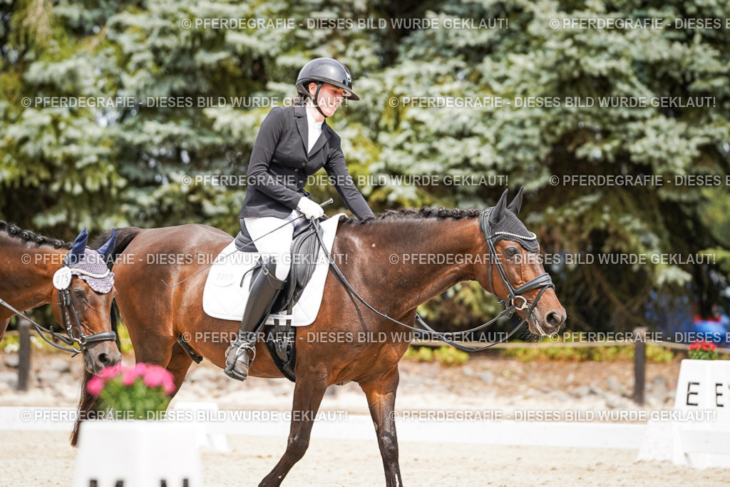 DSC04175 | Pferdegrafie