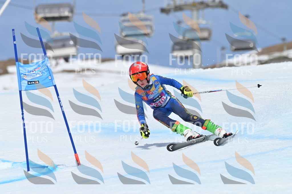 BGV_1137 | holidayphoto