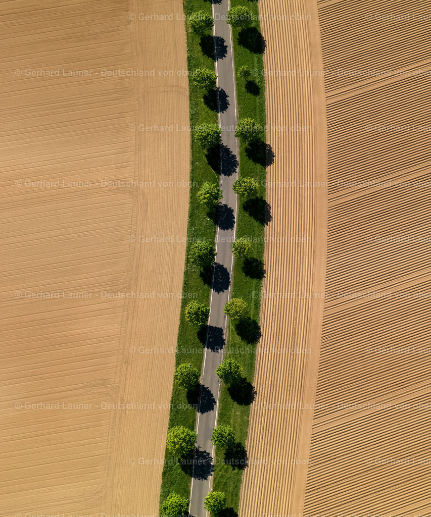 9300136 | Baum-undFeldstrukturen bei Münstermaifeld
